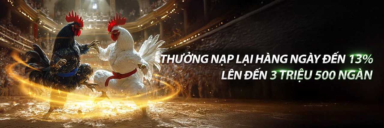 Hình ảnh chính Nohu 52 chiến lược thắng lớn